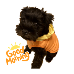 Happy_20250418201631
