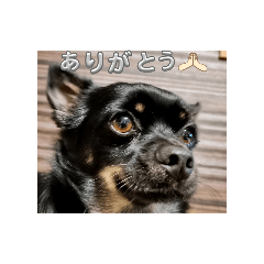alan_20250418182318