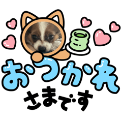 Mami_20250418235937