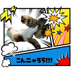 kimi_20250418215926