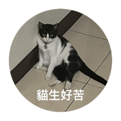 《小賓飼料錢自己賺》