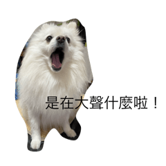 小霸王吉吉