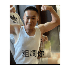 籽粒力