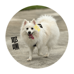 菲比vol.2
