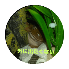 Harry_20250419083316