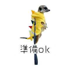 aka_20250419080615