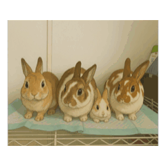 riato_20250418180711