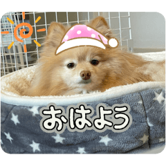Momo_20250419113856