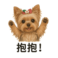 球球的紀念