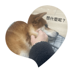 Me ð  ルルジャン