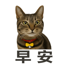 happy姐
