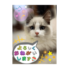 mondai_20250419004148