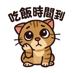 貓lllllllllllll