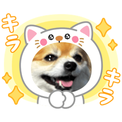 mika_20250418214728