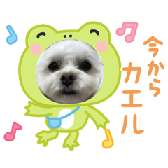 ayumi_20250419064829