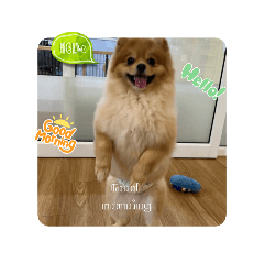 Nanajeong55