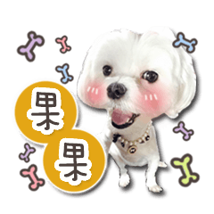 果果寶貝日常