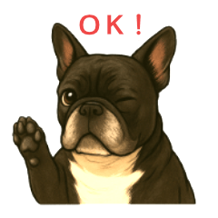 Frenchbulldog-Fuku