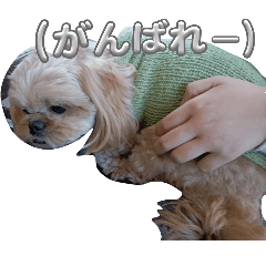 karin_20250418225102