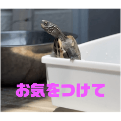 JEANS_20250418225439