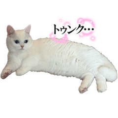 misaki_20250419002151