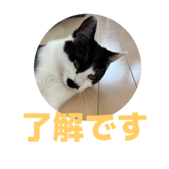 Kay_20250419124731