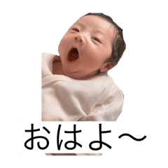 mabusyan_20250419124706