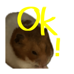 hamusutaLINEsutanpu