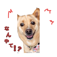Mugi_20250419125140