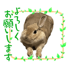 TOMO_20250419131445