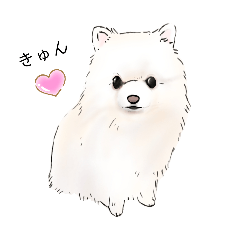 ポメラニアンのほのちゃん