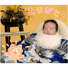 nami_20250419135221