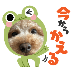 aoi_20250419140600