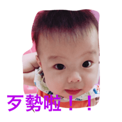 勛寶貝日常