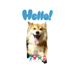 happy_20250419200340