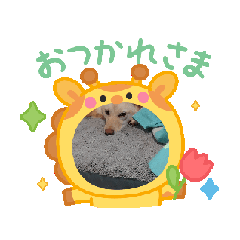 rin_20250419211110