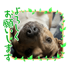 mama_20250419142522