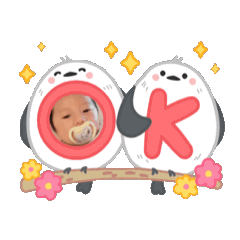 Shiori_20250420001157