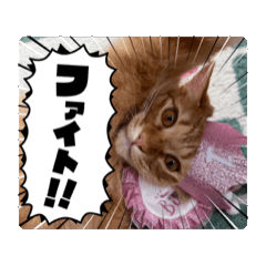 yaMA_20250420092734