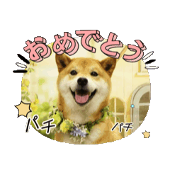 riku_20250420080139