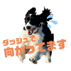 MS_20250419181924