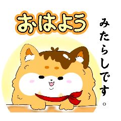 koko_20250418213932