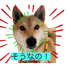 Ryu_20250419185124
