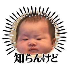 mao_20250419150235
