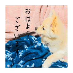 Y_20250419145623