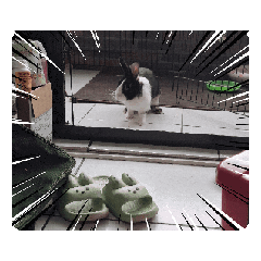 一些幸福的事情