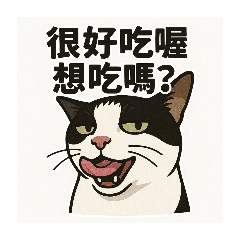 我貓0