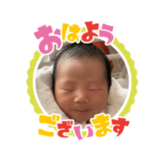 sena_20250419164415