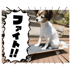 ringo_20250419170046