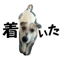 nana_20250419170817